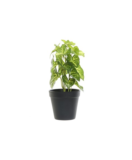 Planta Verde 27Cm