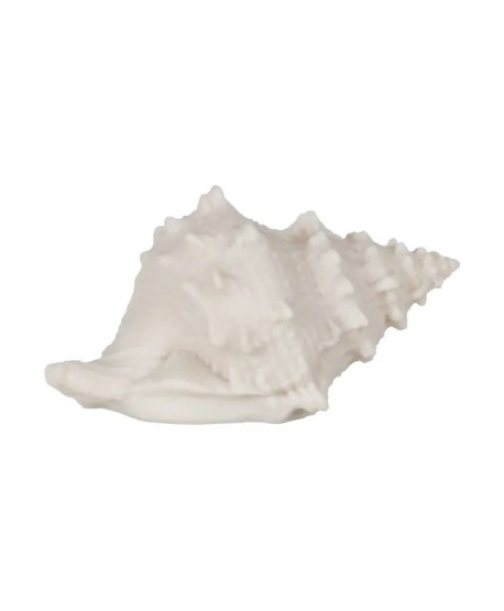 Lampara Mesa Concha Arenisca