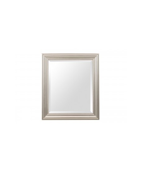 Espejo Plata 50X60