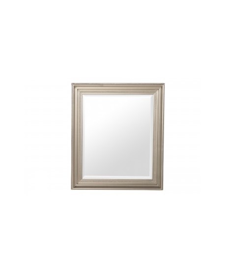 Espejo Madera Plata 50X60