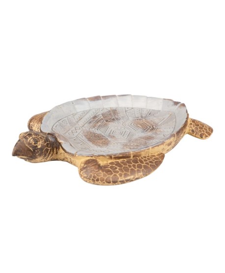 Tortuga De Resina