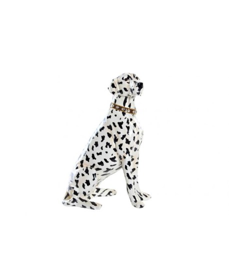 Perro Dalmata