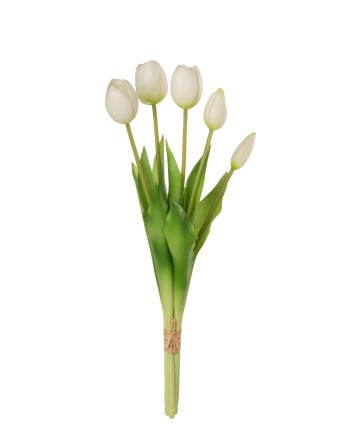 Ramo 5 Tulipanes Blancos