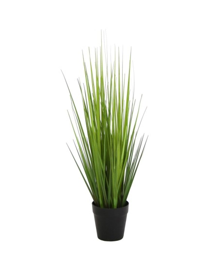 Grass Verde 53Cm