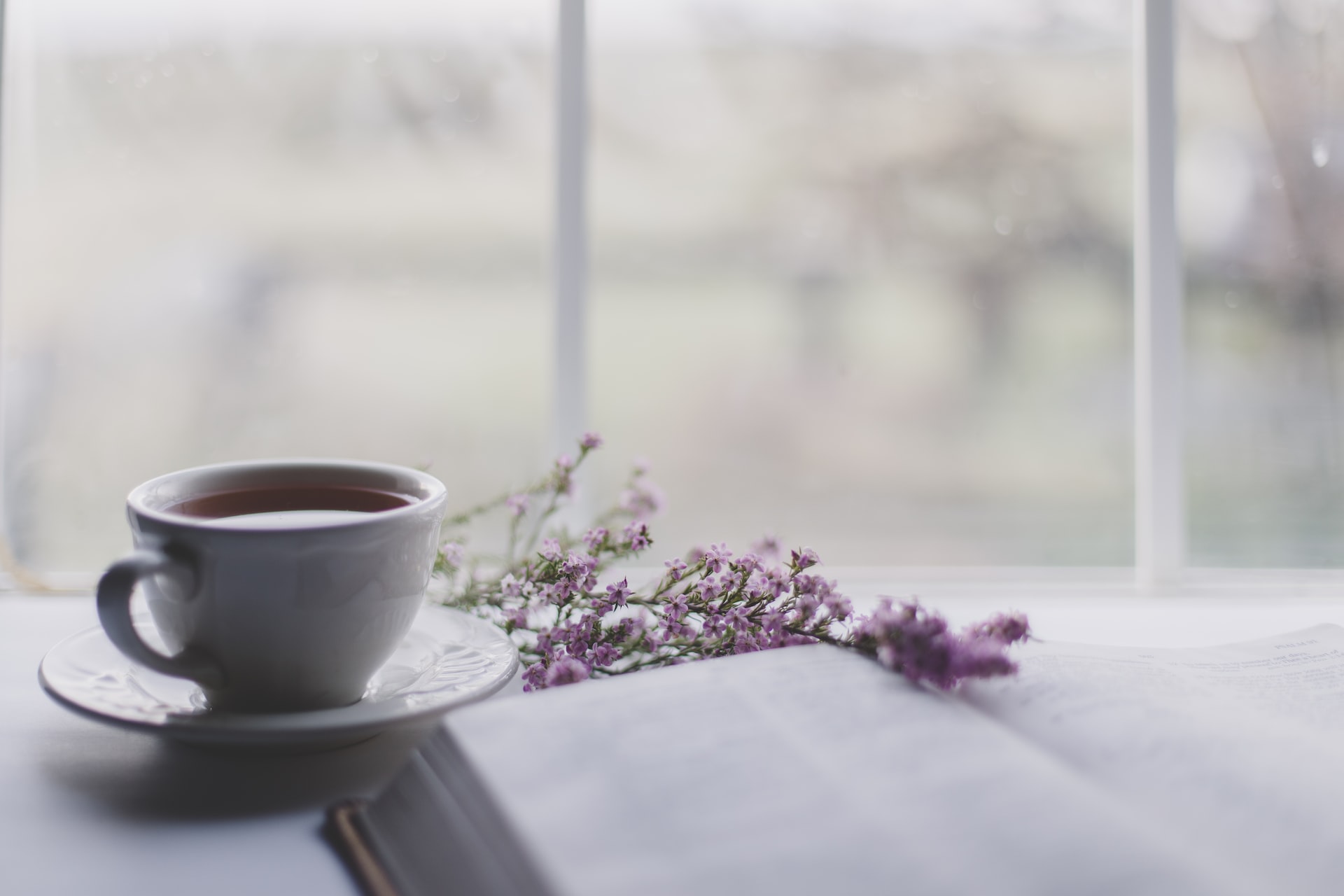 Taza de té